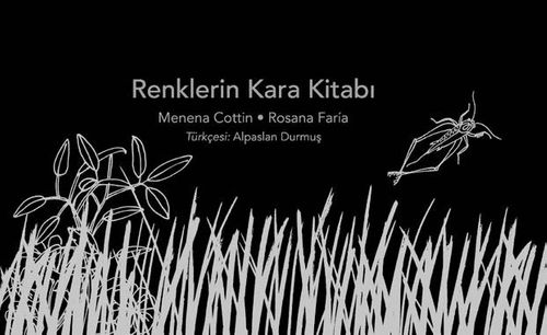 Renklerin Kara Kitabı