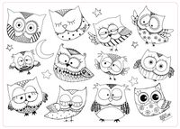 Funny Mat - Şaşkın Baykuşlar