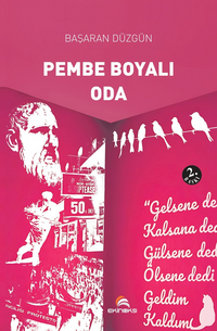 Pembe Boyalı Oda