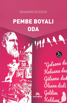 Pembe Boyalı Oda