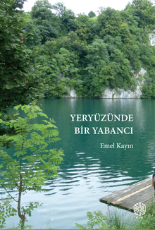 Yeryüzünde Bir Yabancı