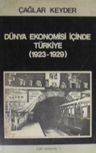 Dünya Ekonomisi İçinde Türkiye / 13-F-15