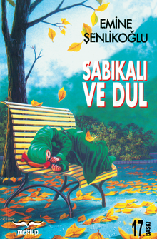 Sabıkalı ve Dul