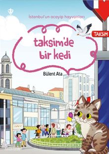 İstanbul'un Acayip Hayvanları Taksimde Bir Kedi