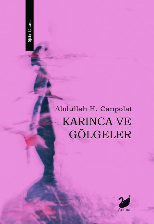 Karınca ve Gölgeler