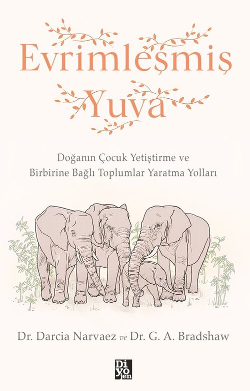 Evrimleşmiş Yuva