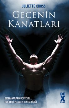 Gecenin Kanatları