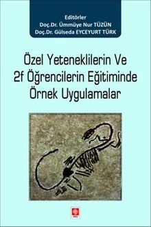 Özel Yeteneklilerin ve 2F Öğrencilerin Eğitiminde Örnek Uygulamalar 