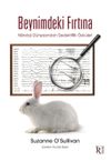 Beynimdeki Fırtına
