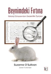 Beynimdeki Fırtına