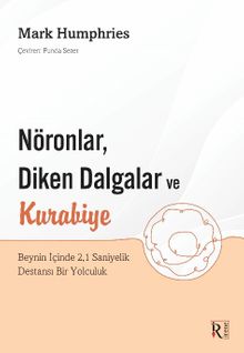 Nöronlar, Diken Dalgalar ve Kurabiye & Beynin İçinde 2,1 Saniyelik Destansı Bir Yolculuk