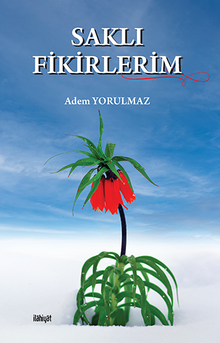 Saklı Fikirlerim