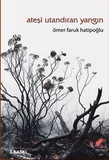 Ateşi Utandıran Yangın