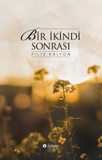 Bir İkindi Sonrası