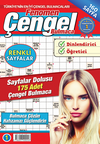 Fenomen &Ccedil;engel Bulmaca 1