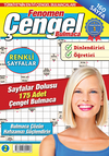 Fenomen &Ccedil;engel Bulmaca 2