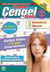 Fenomen &Ccedil;engel Bulmaca 10
