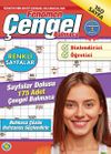 Fenomen &Ccedil;engel Bulmaca 16