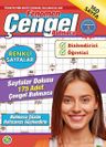 Fenomen Çengel Bulmaca 16