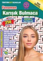 Fenomen Karışık Bulmaca 10