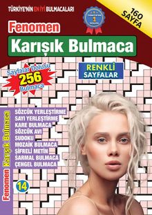 Fenomen Karışık Bulmaca 14