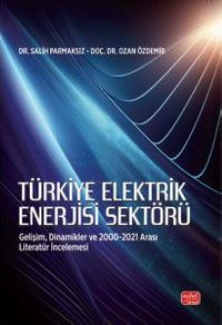 Türkiye Elektrik Enerjisi Sektörü & Gelişim, Dinamikler ve 2000-2021 Arası Literatür İncelemesi