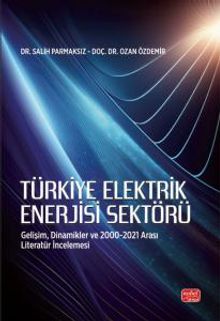 Türkiye Elektrik Enerjisi Sektörü & Gelişim, Dinamikler ve 2000-2021 Arası Literatür İncelemesi