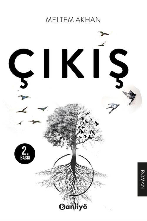 Çıkış