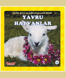 Yavru Hayvanlar