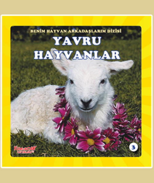 Yavru Hayvanlar