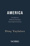 Amerıca Analysis - Observation - Interpretation