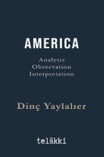 Amerıca Analysis - Observation - Interpretation