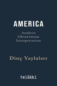 Amerıca Analysis - Observation - Interpretation