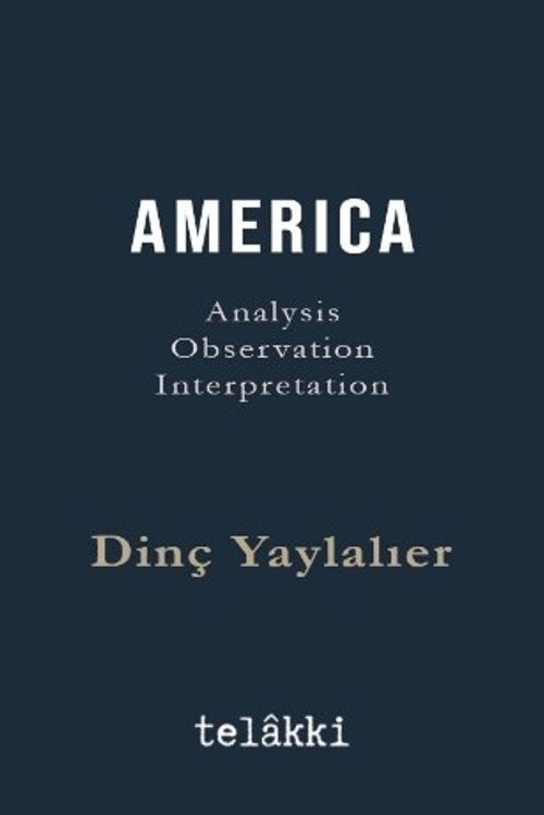 Amerıca Analysis - Observation - Interpretation