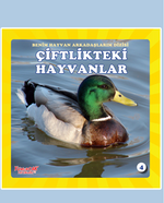 Çiftlik Hayvanları