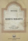 Mesnevi-i Muradiyye (4-B-28)