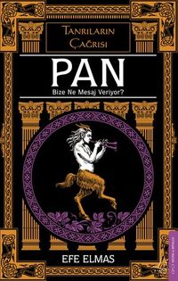 Pan Bize Ne Mesaj Veriyor?