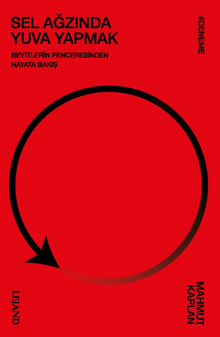 Sel Ağzında Yuva Yapmak & Beyitlerin Penceresinden Hayata Bakış