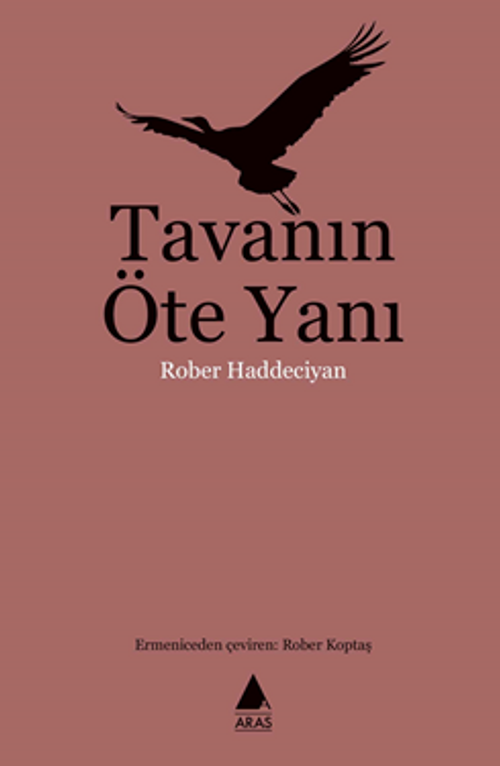 Tavanın Öte Yanı
