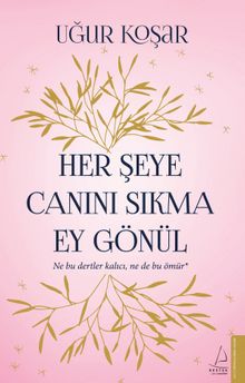 Her Şeye Canını Sıkma Ey Gönül