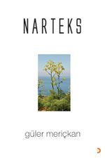 Narteks