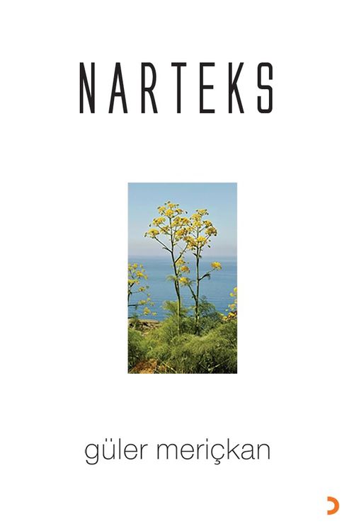 Narteks