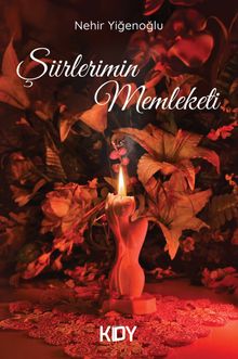 Şiirlerimin Memleketi 