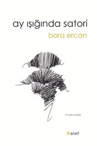 Ay Işığında Satori