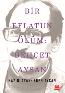 Bir Eflatun Ölüm: Behçet Aysan