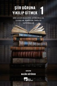 Şiir Uğruna Yıkılıp Gitmek 1