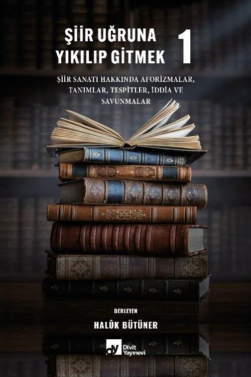 Şiir Uğruna Yıkılıp Gitmek 1