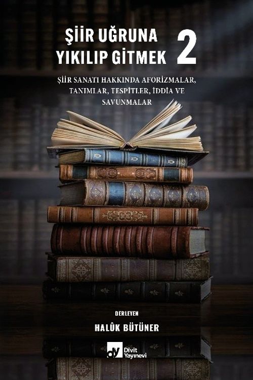 Şiir Uğruna Yıkılıp Gitmek 2