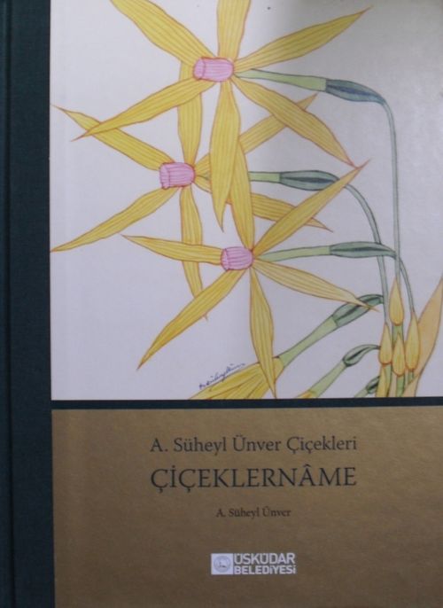 Çiçeklername Kod:11-B-47