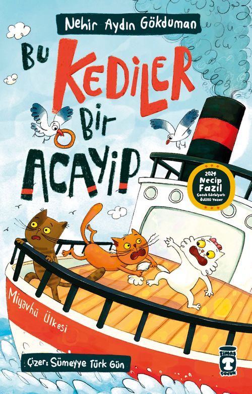 Bu Kediler Bir Acayip